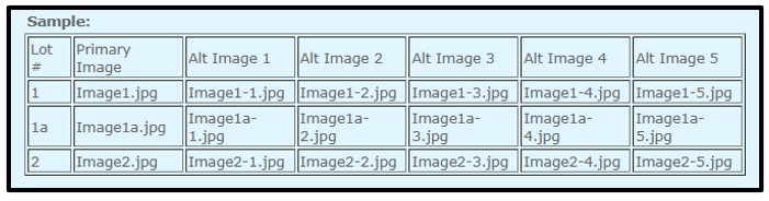 ImageUploadOptions.jpg
